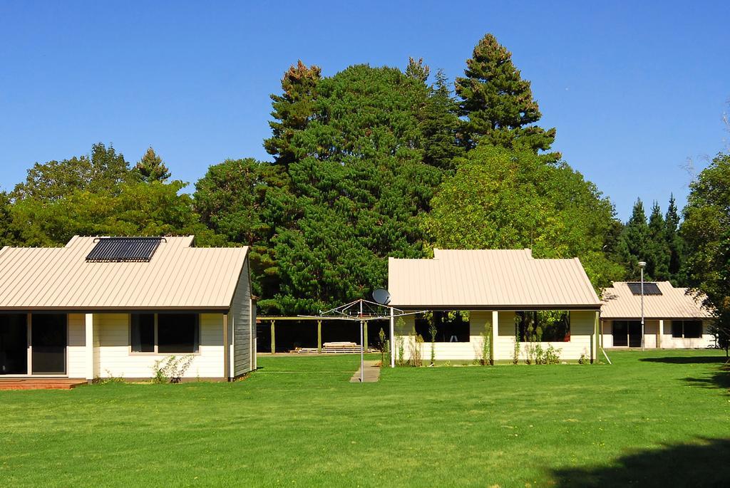 Mount Richmond Estate Motels Rai Valley 外观 照片